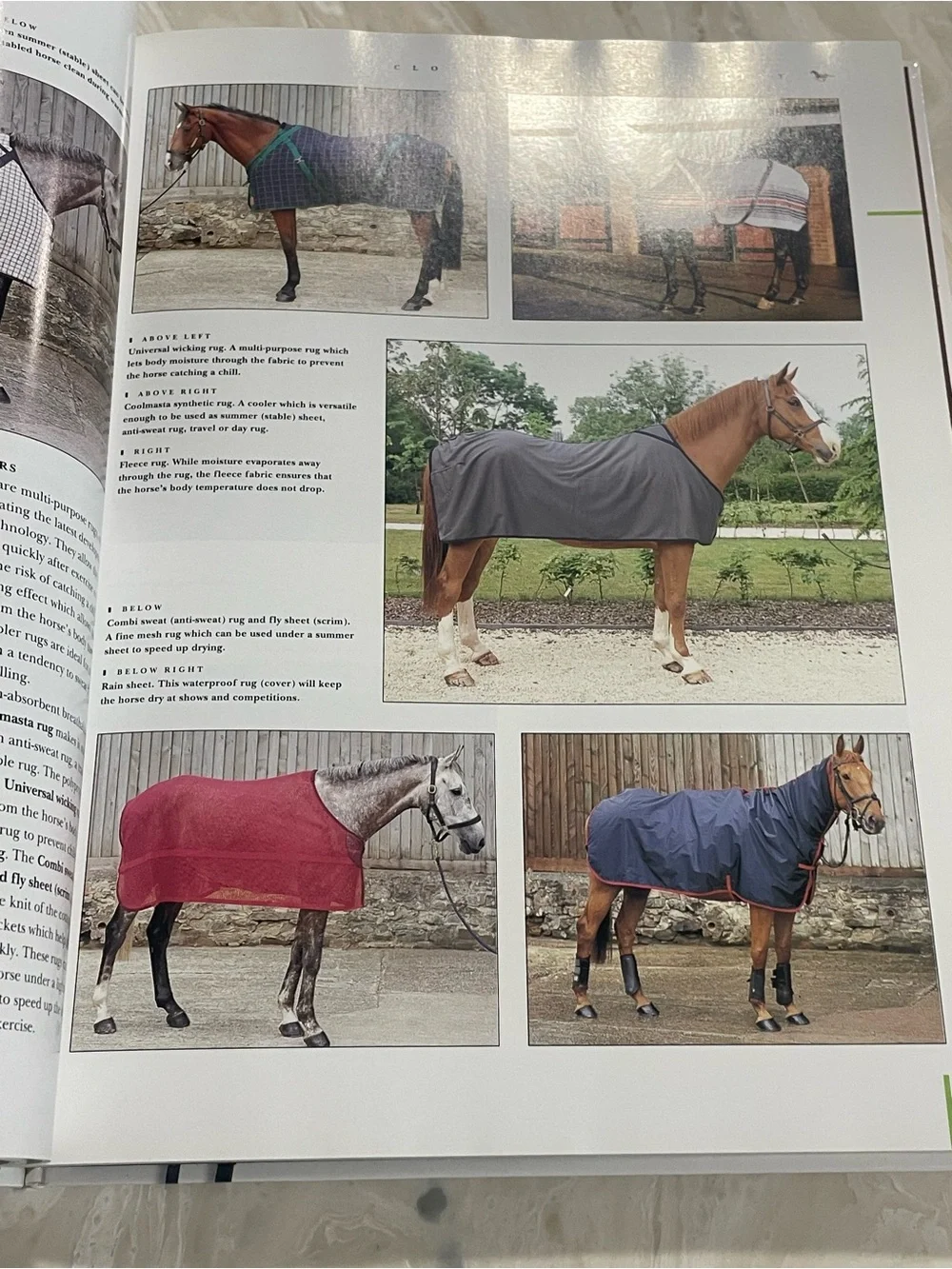 The Complete Horse & Rider Handbook HC Book 2001 Vintage Equestrian Sarah Muir